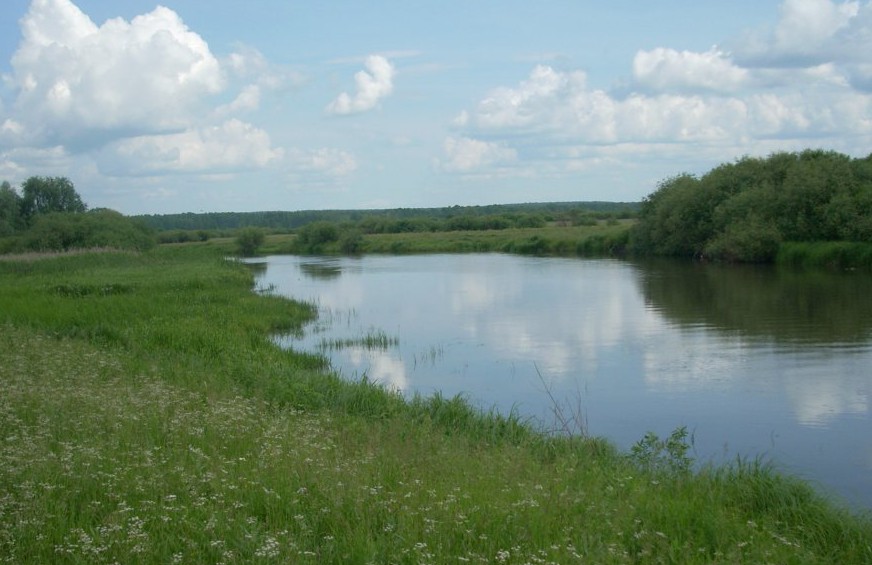 природа летний день